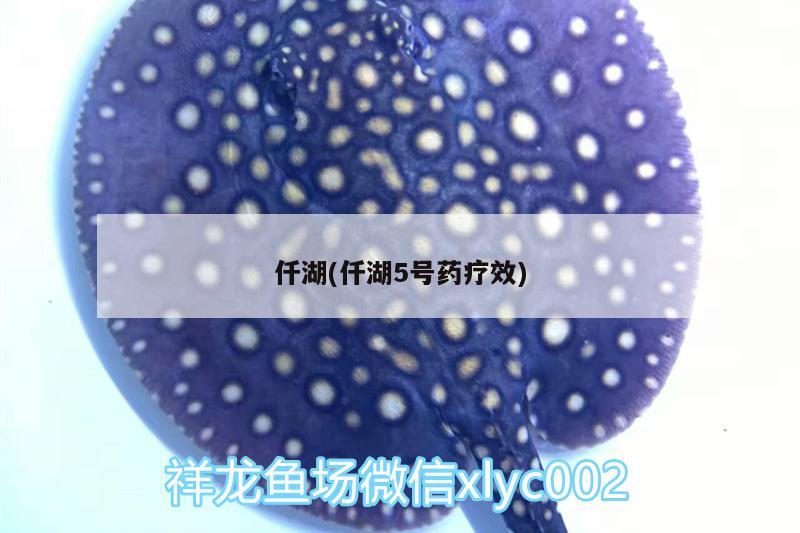 仟湖(仟湖5號藥療效) 仟湖