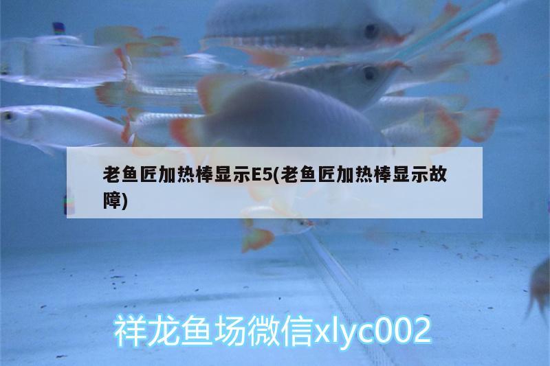 老魚匠加熱棒顯示E5(老魚匠加熱棒顯示故障)