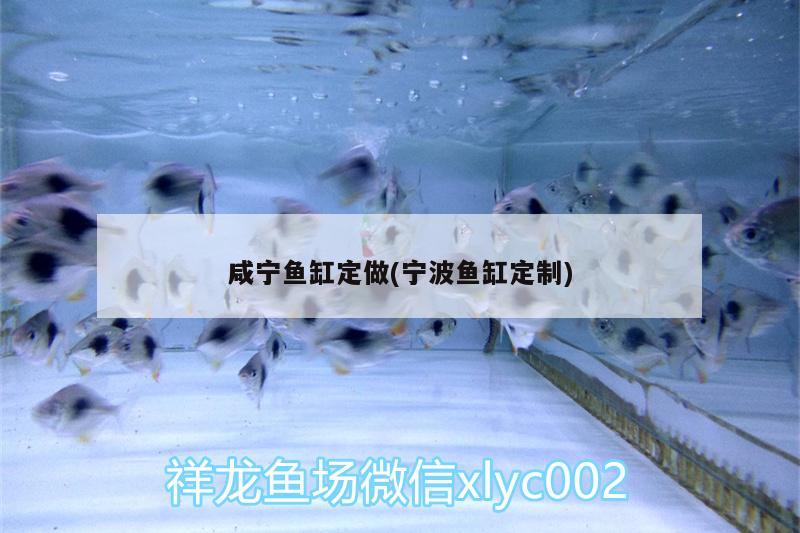 咸寧魚缸定做(寧波魚缸定制) 魚缸/水族箱