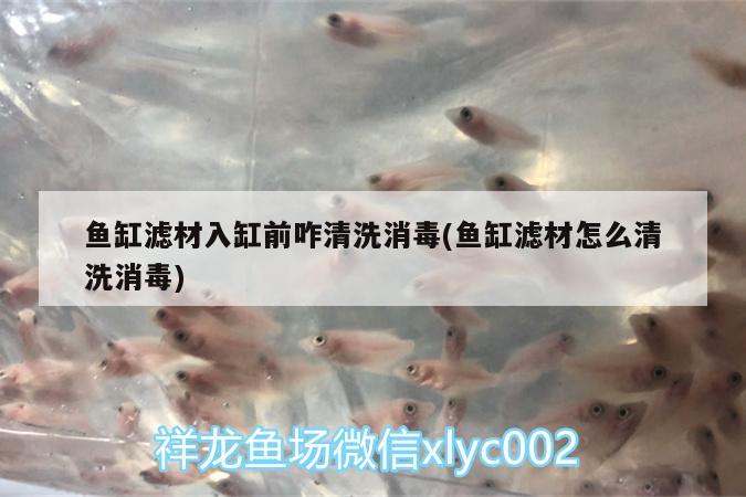 魚缸濾材入缸前咋清洗消毒(魚缸濾材怎么清洗消毒) 金龍魚百科