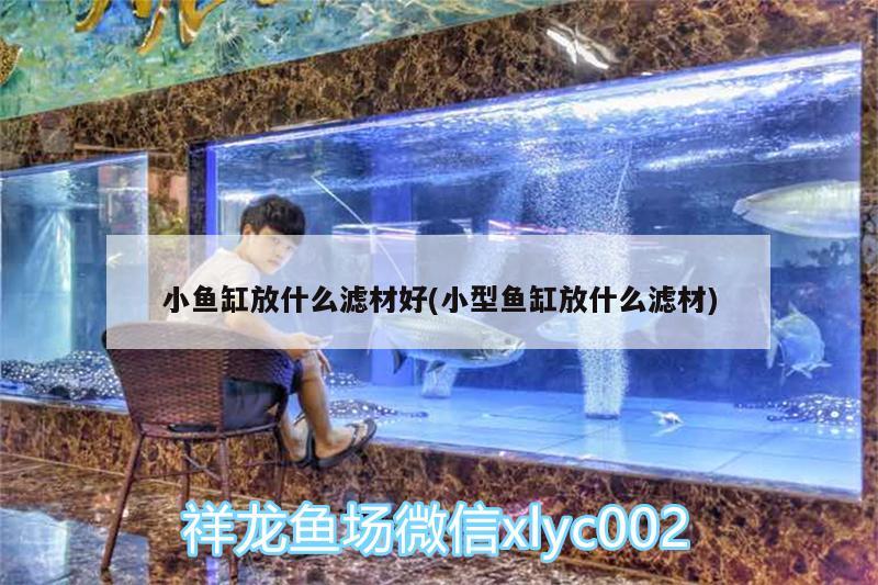 小魚缸放什么濾材好(小型魚缸放什么濾材) 虎斑恐龍魚 第2張