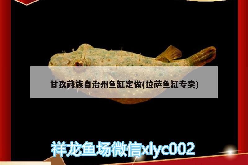 甘孜藏族自治州魚缸定做(拉薩魚缸專賣)