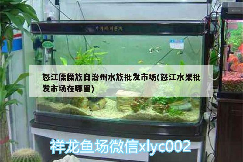 怒江傈僳族自治州水族批發(fā)市場(chǎng)(怒江水果批發(fā)市場(chǎng)在哪里)