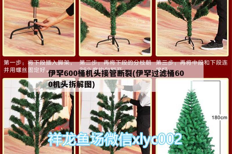 伊罕600桶機(jī)頭接管斷裂(伊罕過(guò)濾桶600機(jī)頭拆解圖) 伊罕水族