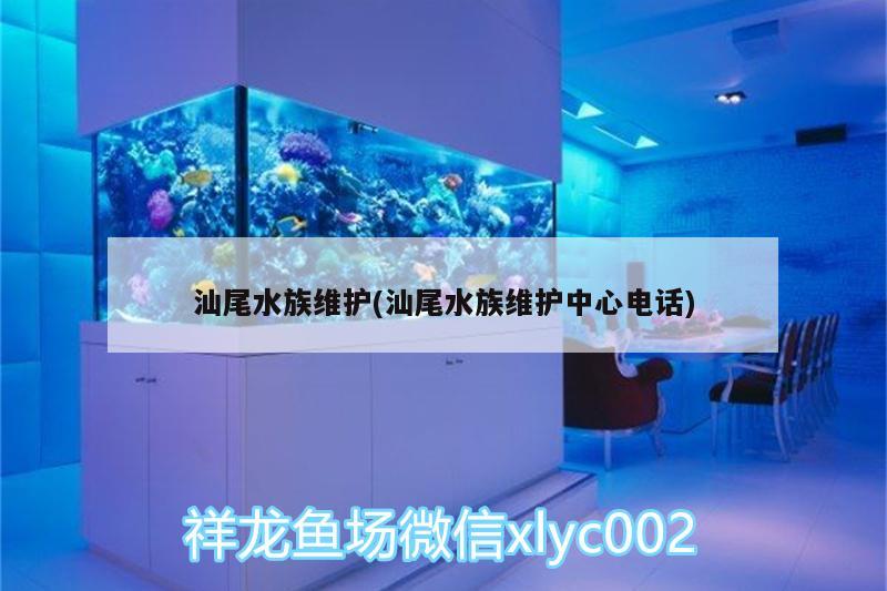 汕尾水族維護(hù)(汕尾水族維護(hù)中心電話)