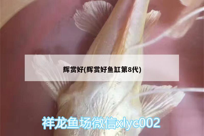 輝賞好(輝賞好魚缸第8代) 馬拉莫寶石魚苗