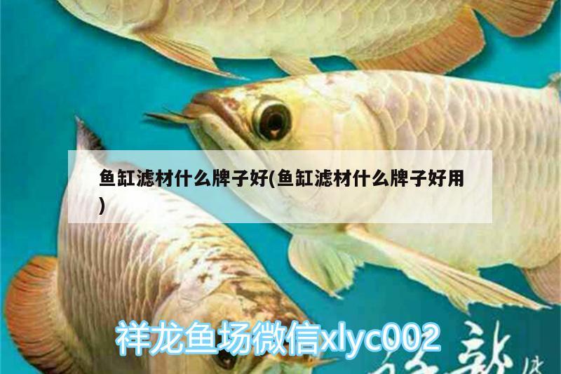 魚(yú)缸濾材什么牌子好(魚(yú)缸濾材什么牌子好用)