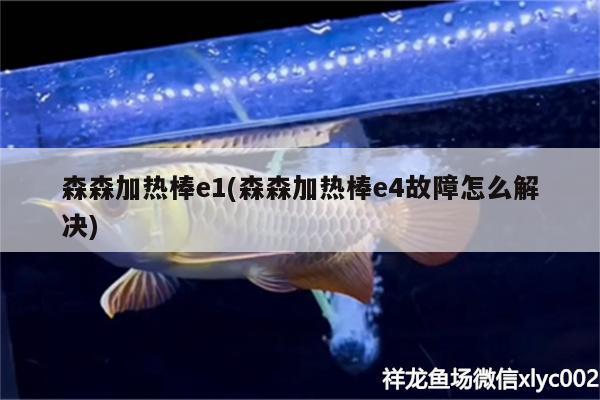 森森加熱棒e1(森森加熱棒e4故障怎么解決)