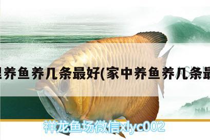 家里養(yǎng)魚養(yǎng)幾條最好(家中養(yǎng)魚養(yǎng)幾條最好)