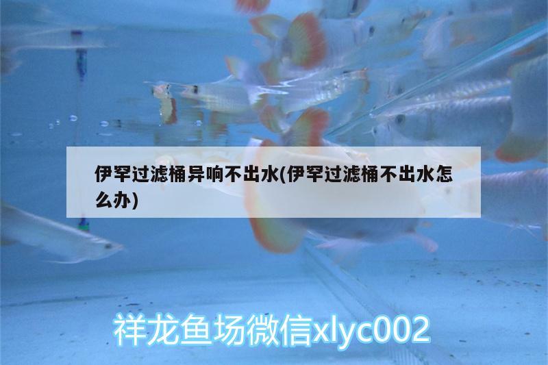 伊罕過濾桶異響不出水(伊罕過濾桶不出水怎么辦)