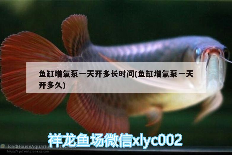 魚缸增氧泵一天開多長時(shí)間(魚缸增氧泵一天開多久)