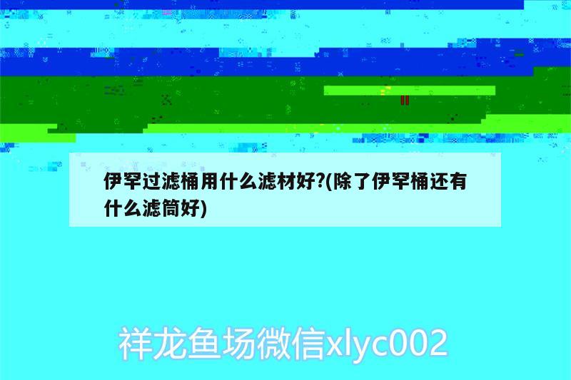 伊罕過(guò)濾桶用什么濾材好?(除了伊罕桶還有什么濾筒好)