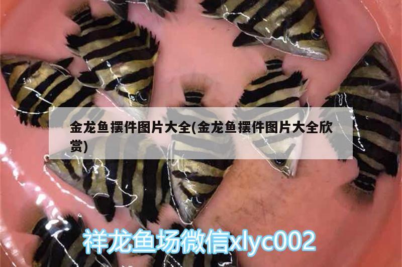 金龍魚擺件圖片大全(金龍魚擺件圖片大全欣賞)