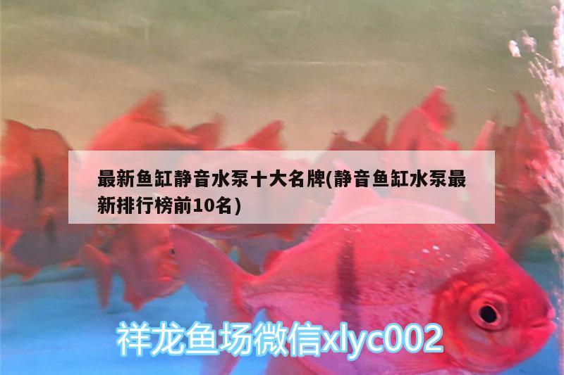 最新魚缸靜音水泵十大名牌(靜音魚缸水泵最新排行榜前10名)