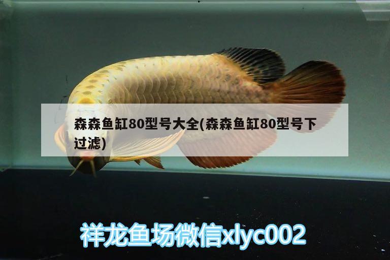 森森魚缸80型號大全(森森魚缸80型號下過濾)