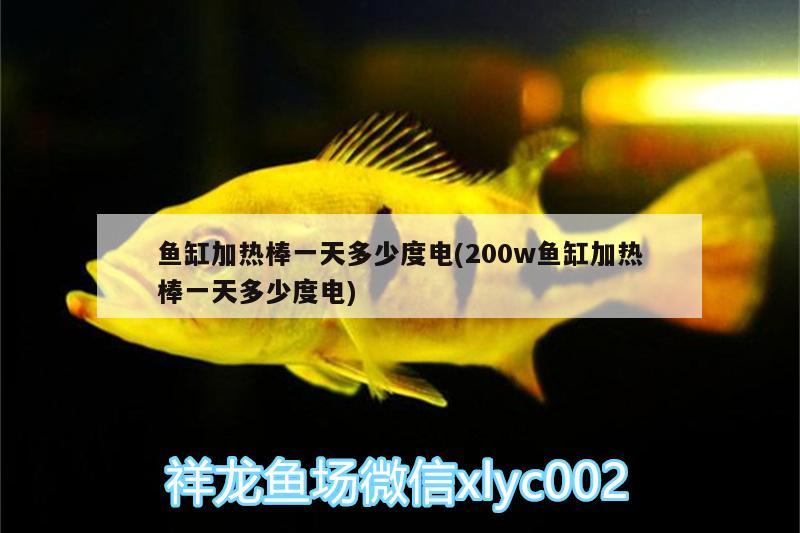 魚(yú)缸加熱棒一天多少度電(200w魚(yú)缸加熱棒一天多少度電) 羅漢魚(yú)批發(fā)