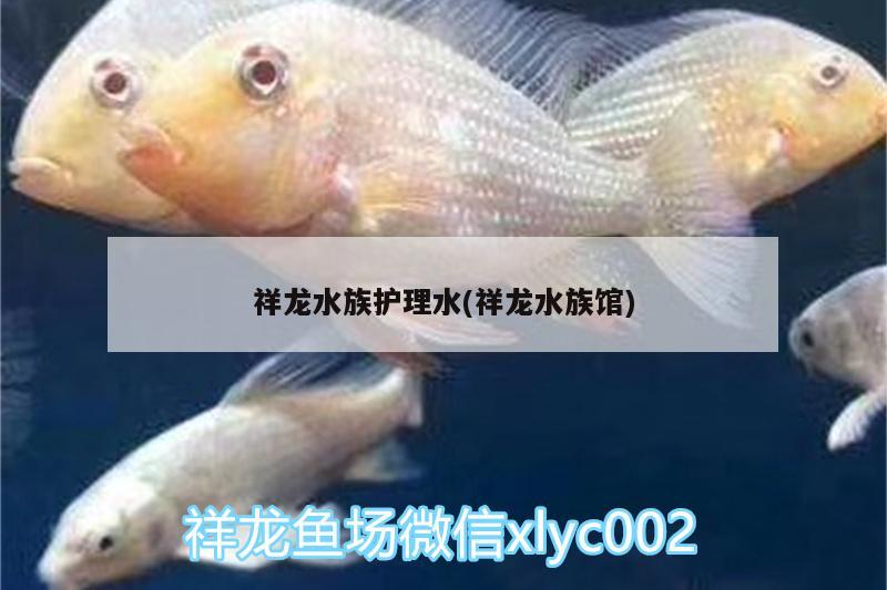 祥龍水族護(hù)理水(祥龍水族館)