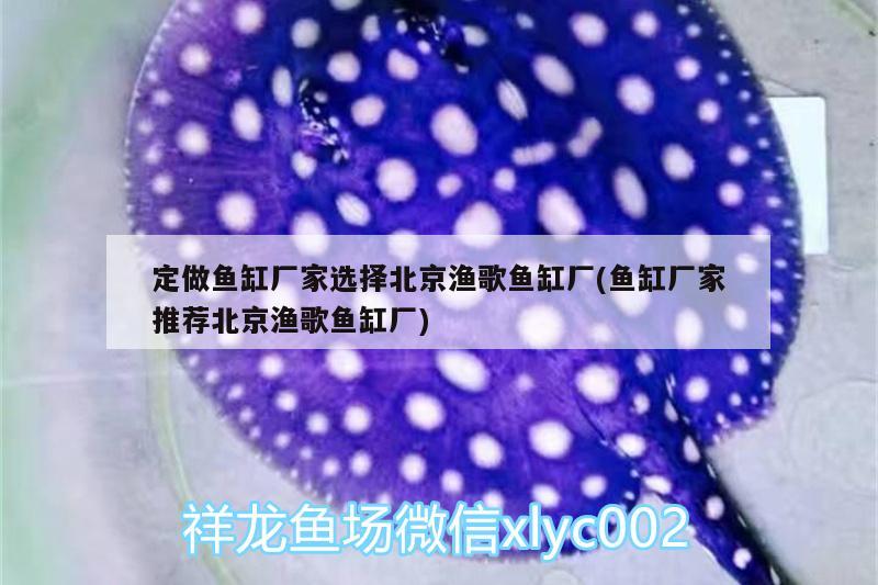 定做魚(yú)缸廠(chǎng)家選擇北京漁歌魚(yú)缸廠(chǎng)(魚(yú)缸廠(chǎng)家推薦北京漁歌魚(yú)缸廠(chǎng)) 球鯊魚(yú)