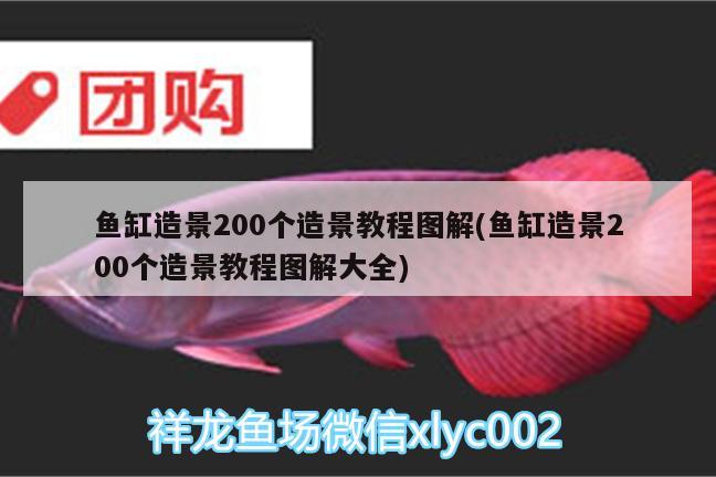 魚缸造景200個造景教程圖解(魚缸造景200個造景教程圖解大全)