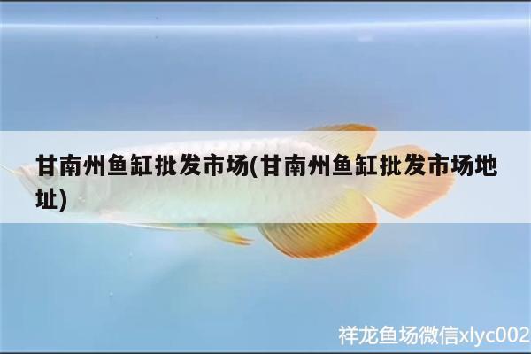 甘南州魚(yú)缸批發(fā)市場(chǎng)(甘南州魚(yú)缸批發(fā)市場(chǎng)地址) 赤荔鳳冠魚(yú) 第1張