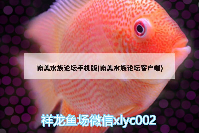 南美水族論壇手機版(南美水族論壇客戶端)