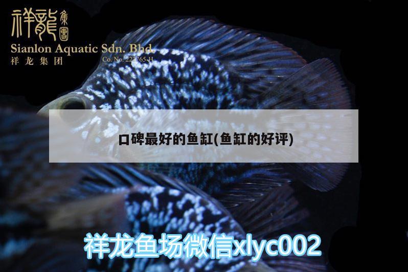 口碑最好的魚缸(魚缸的好評) 元寶鳳凰魚