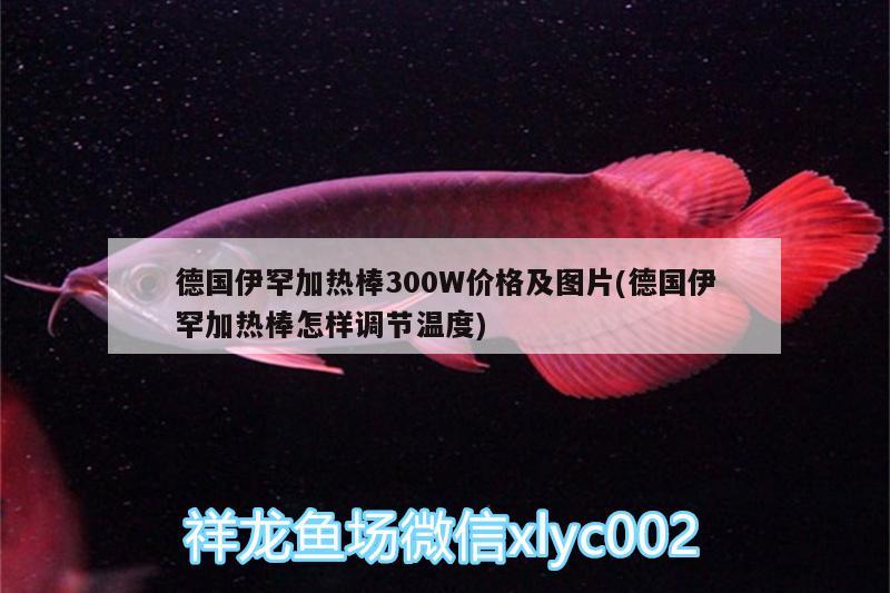 德國伊罕加熱棒300W價(jià)格及圖片(德國伊罕加熱棒怎樣調(diào)節(jié)溫度)