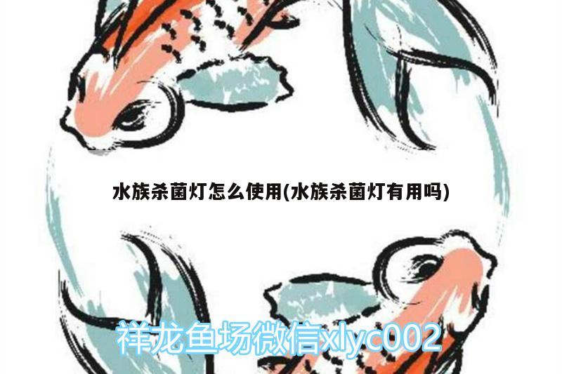 水族殺菌燈怎么使用(水族殺菌燈有用嗎) 廣州水族批發(fā)市場