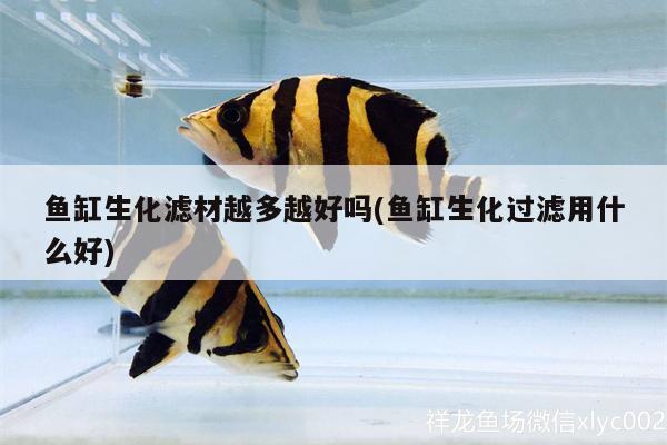 魚缸生化濾材越多越好嗎(魚缸生化過濾用什么好)