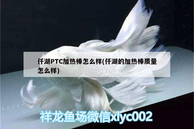 仟湖PTC加熱棒怎么樣(仟湖的加熱棒質(zhì)量怎么樣) 仟湖