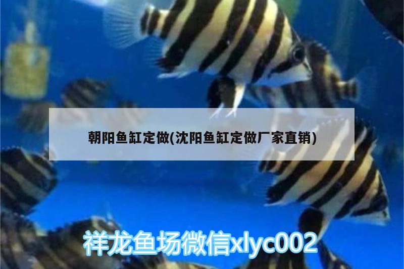 朝陽魚缸定做(沈陽魚缸定做廠家直銷)