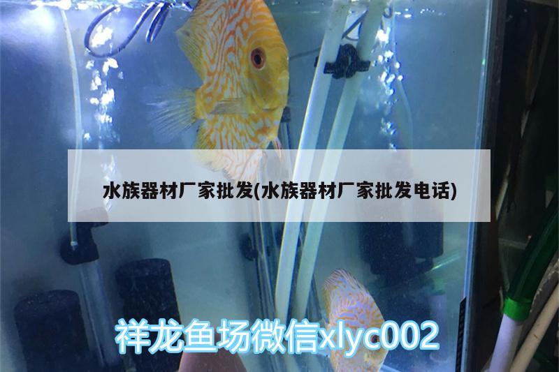 水族器材廠(chǎng)家批發(fā)(水族器材廠(chǎng)家批發(fā)電話(huà)) 祥龍赫舞紅龍魚(yú)