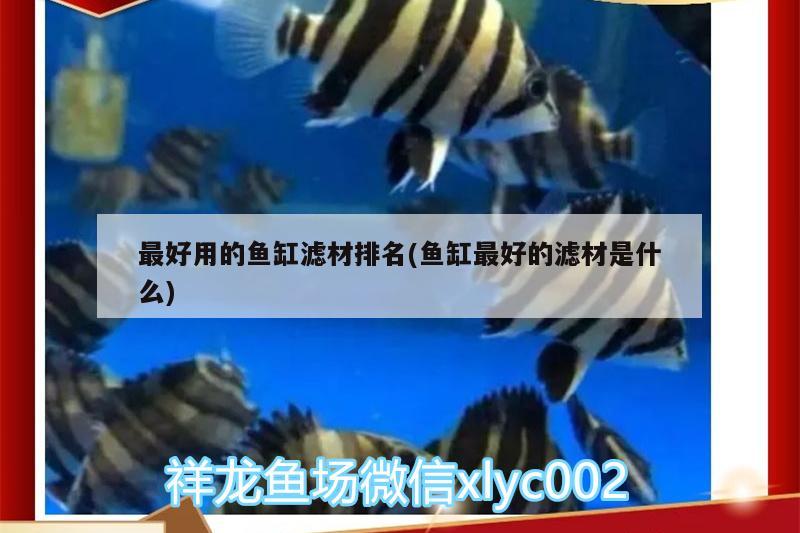 最好用的魚缸濾材排名(魚缸最好的濾材是什么)