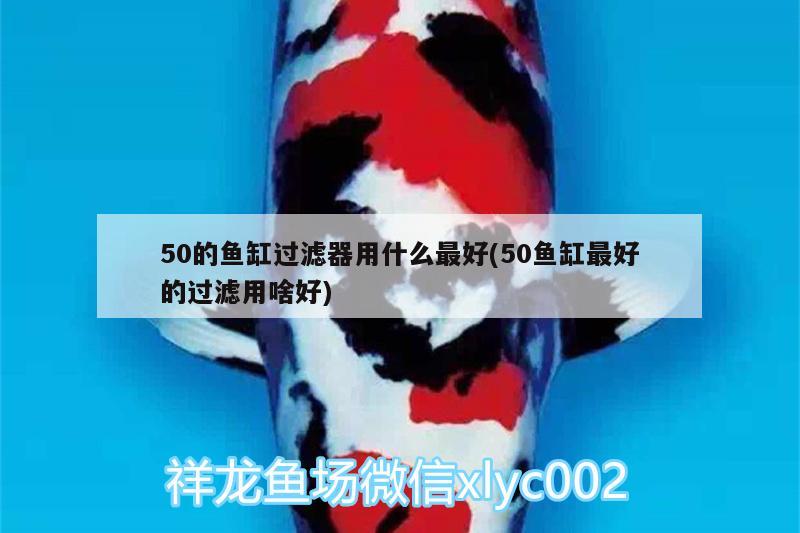 50的魚(yú)缸過(guò)濾器用什么最好(50魚(yú)缸最好的過(guò)濾用啥好)