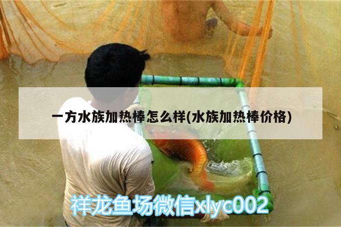 一方水族加熱棒怎么樣(水族加熱棒價格) 一方水族