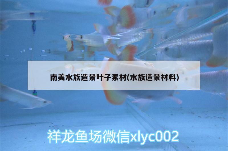 南美水族造景葉子素材(水族造景材料) PH調(diào)節(jié)劑