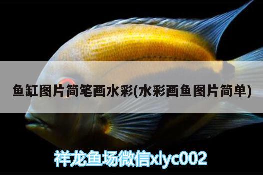 魚(yú)缸圖片簡(jiǎn)筆畫(huà)水彩(水彩畫(huà)魚(yú)圖片簡(jiǎn)單) 朱巴利魚(yú)苗