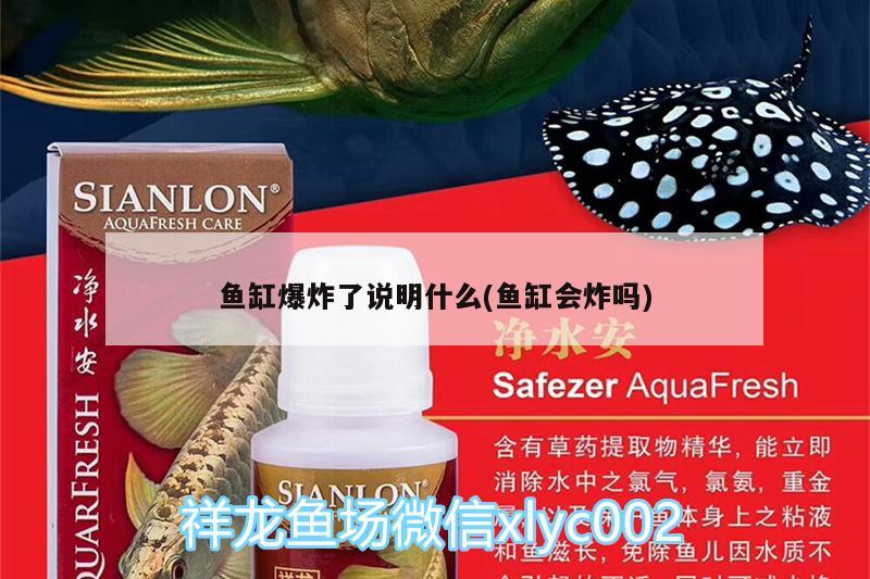 魚缸爆炸了說明什么(魚缸會(huì)炸嗎) 紅老虎魚