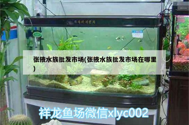 張掖水族批發(fā)市場(chǎng)(張掖水族批發(fā)市場(chǎng)在哪里) 觀賞魚水族批發(fā)市場(chǎng)