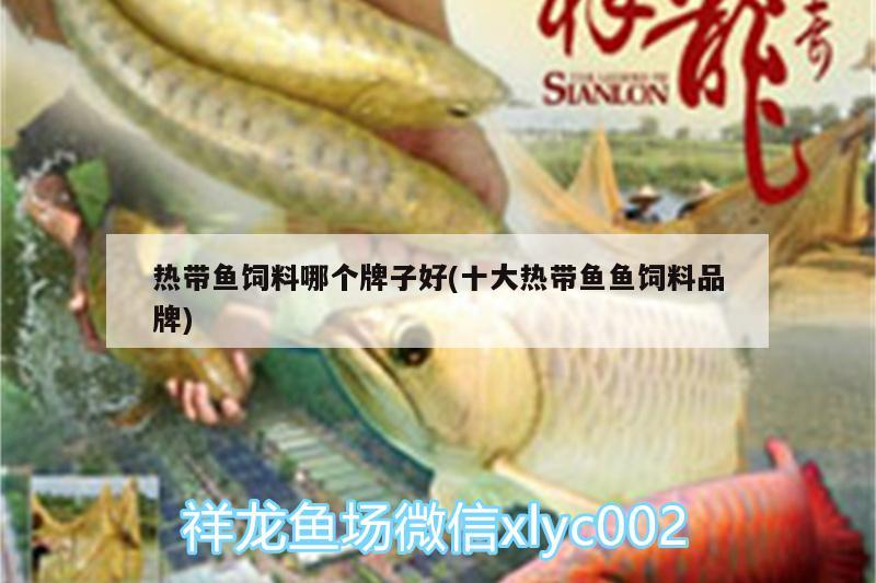 熱帶魚飼料哪個牌子好(十大熱帶魚魚飼料品牌)