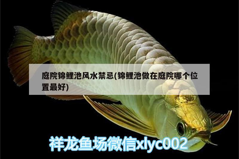 庭院錦鯉池風(fēng)水禁忌(錦鯉池做在庭院哪個位置最好) 魚缸風(fēng)水