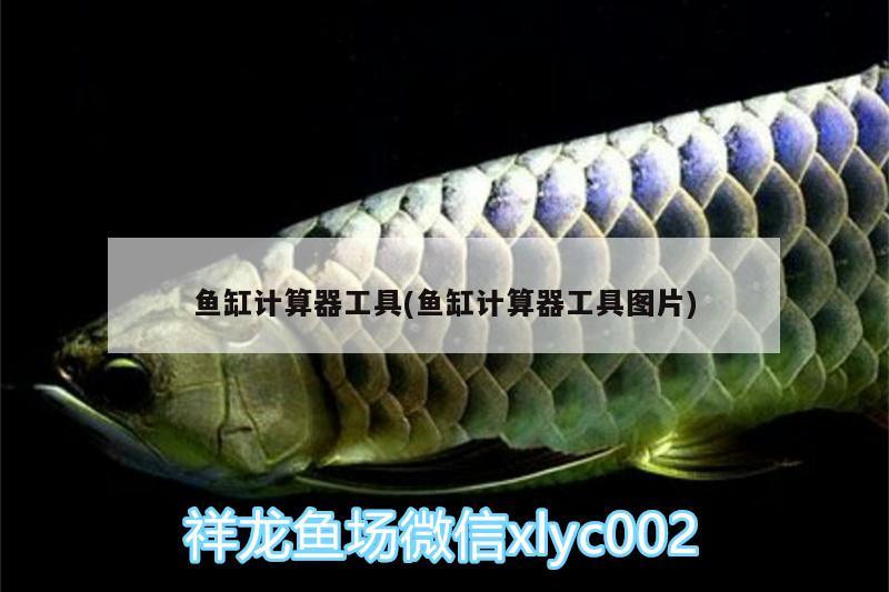 魚(yú)缸計(jì)算器工具(魚(yú)缸計(jì)算器工具圖片)