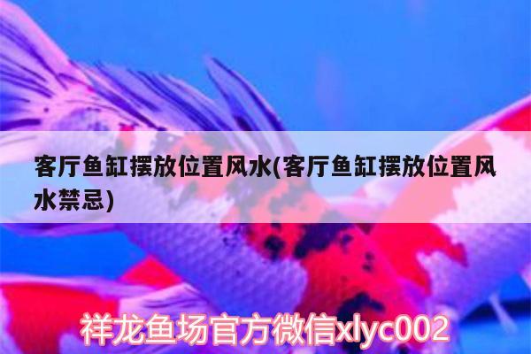 客廳魚缸擺放位置風(fēng)水(客廳魚缸擺放位置風(fēng)水禁忌)