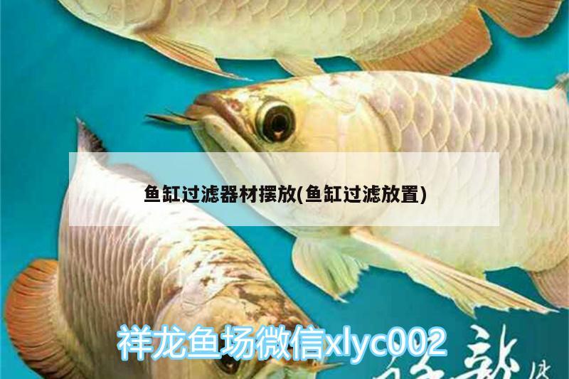 魚缸過濾器材擺放(魚缸過濾放置)