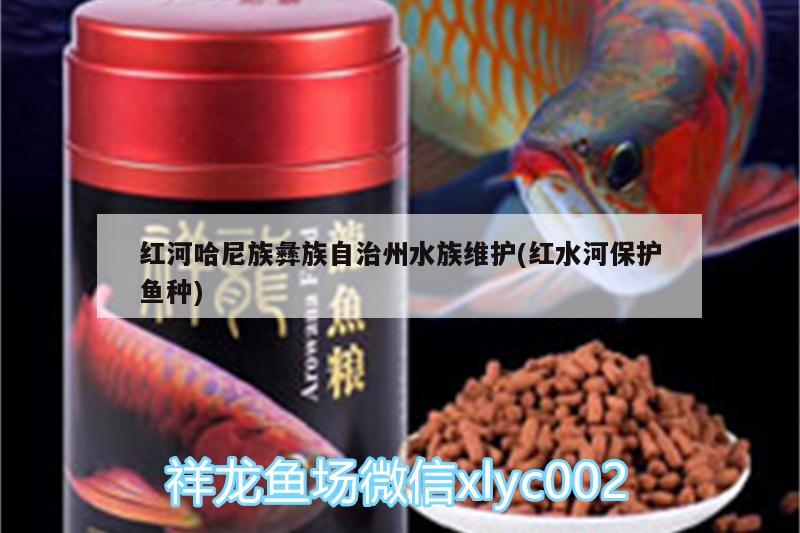 紅河哈尼族彝族自治州水族維護(紅水河保護魚種)