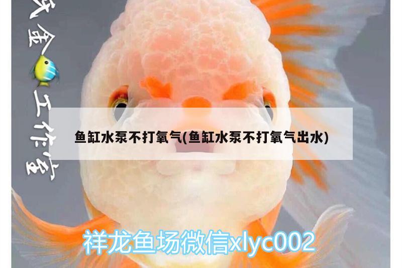 魚缸水泵不打氧氣(魚缸水泵不打氧氣出水)