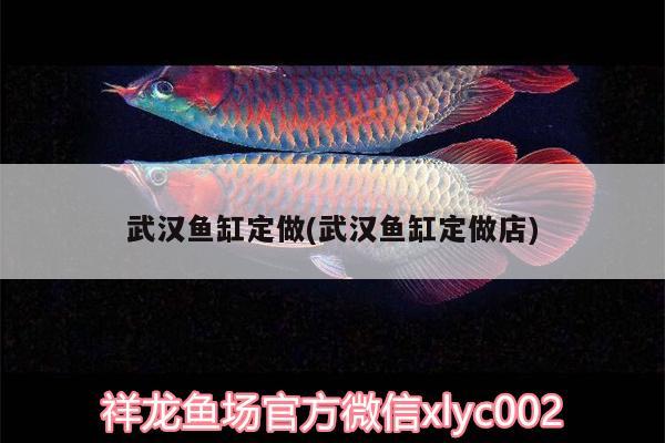 武漢魚缸定做(武漢魚缸定做店) 南美異型魚