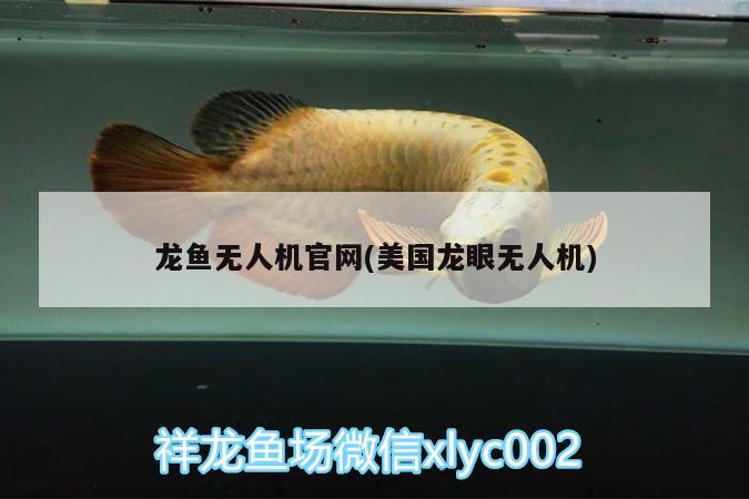 龍魚(yú)無(wú)人機(jī)官網(wǎng)(美國(guó)龍眼無(wú)人機(jī))