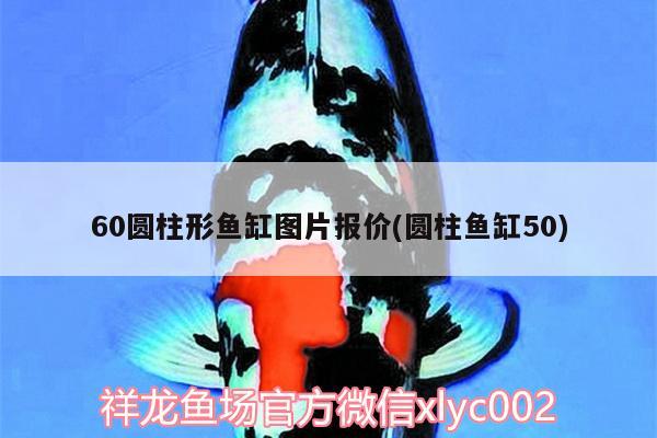 60圓柱形魚缸圖片報價(圓柱魚缸50)