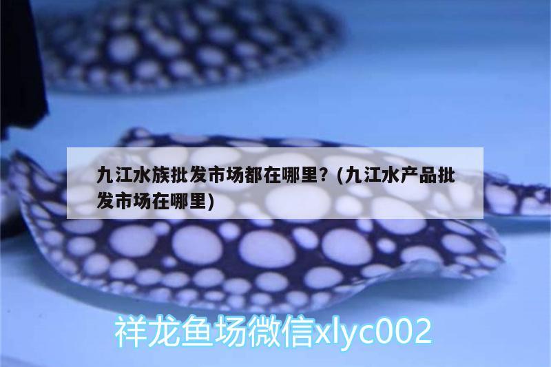 九江水族批發(fā)市場都在哪里？(九江水產(chǎn)品批發(fā)市場在哪里) 觀賞魚水族批發(fā)市場